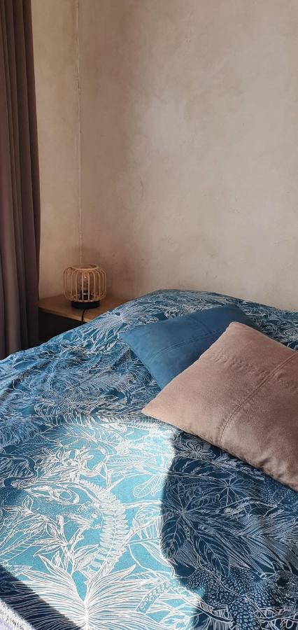 サン・シル・シュル・メール Studio Cosy Avec Grande Terrasse Au Calmeヴィラ エクステリア 写真